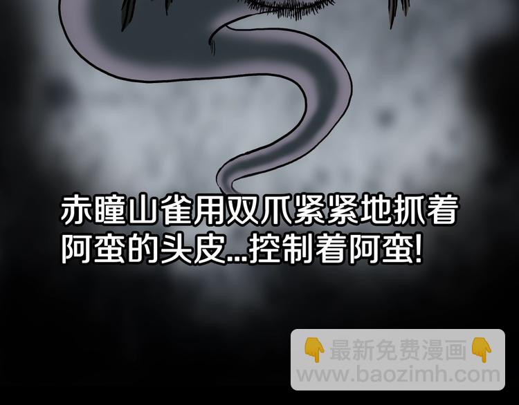 第38话  赤瞳山雀事件（3）49