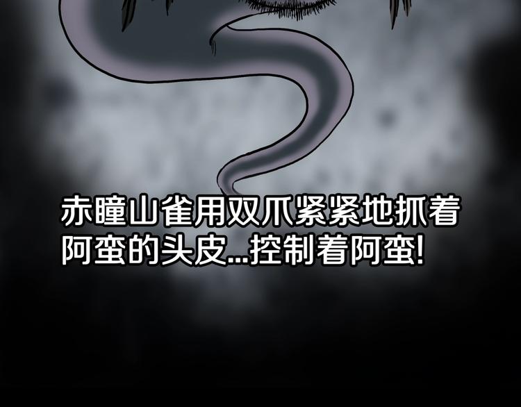 第38话  赤瞳山雀事件（3）53
