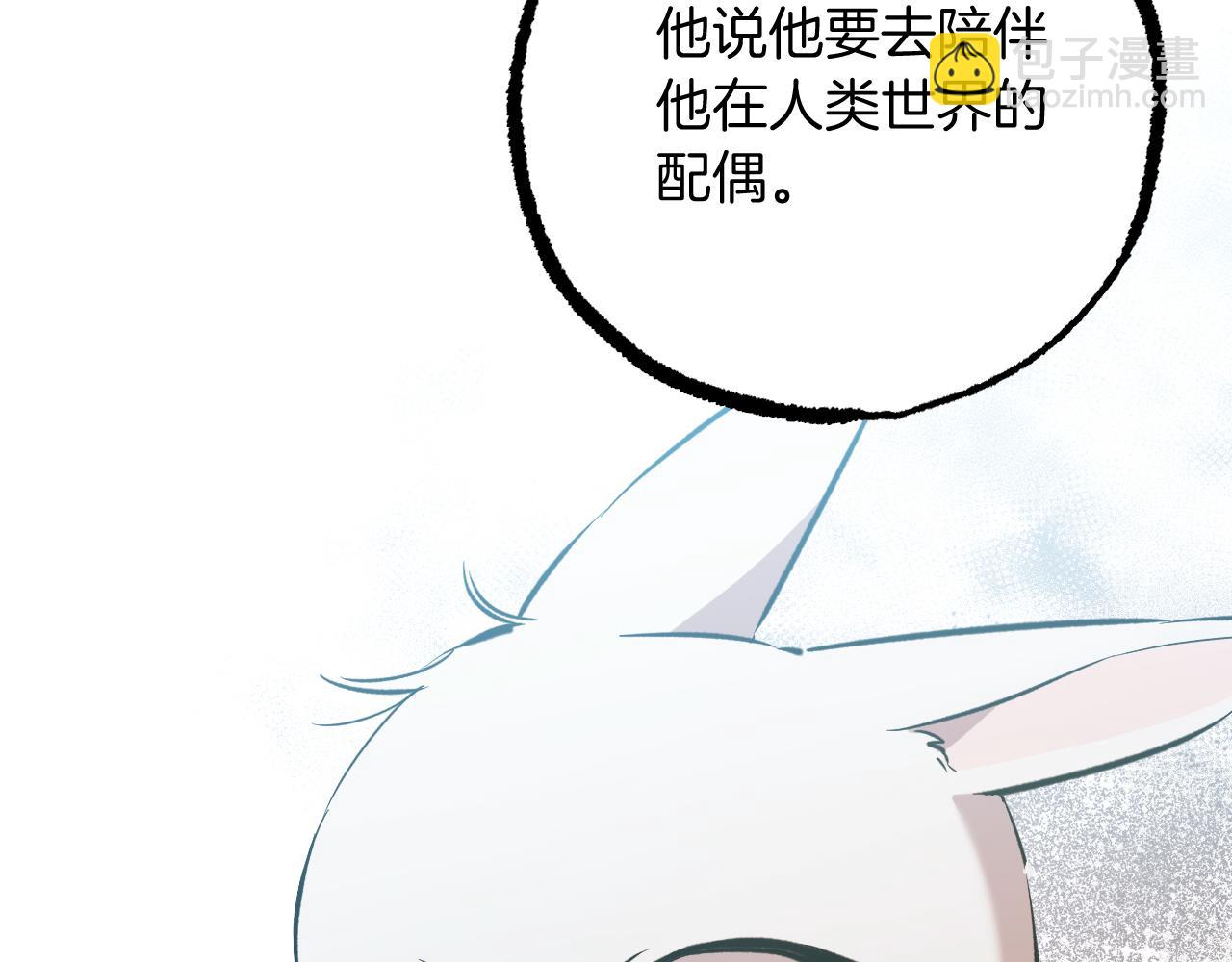第51话 烤肉派对228