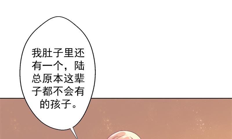 第30话 不贪心怎么做陆太太25