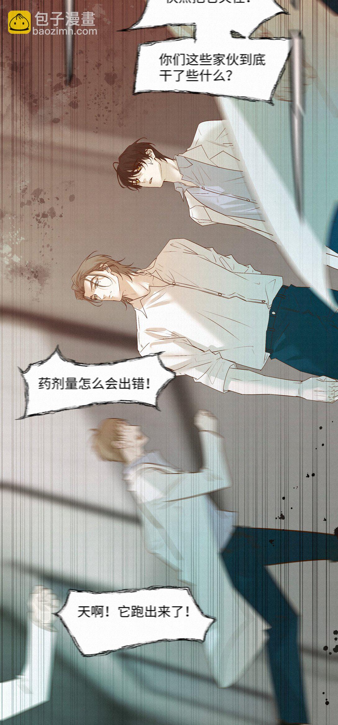55 打赌11