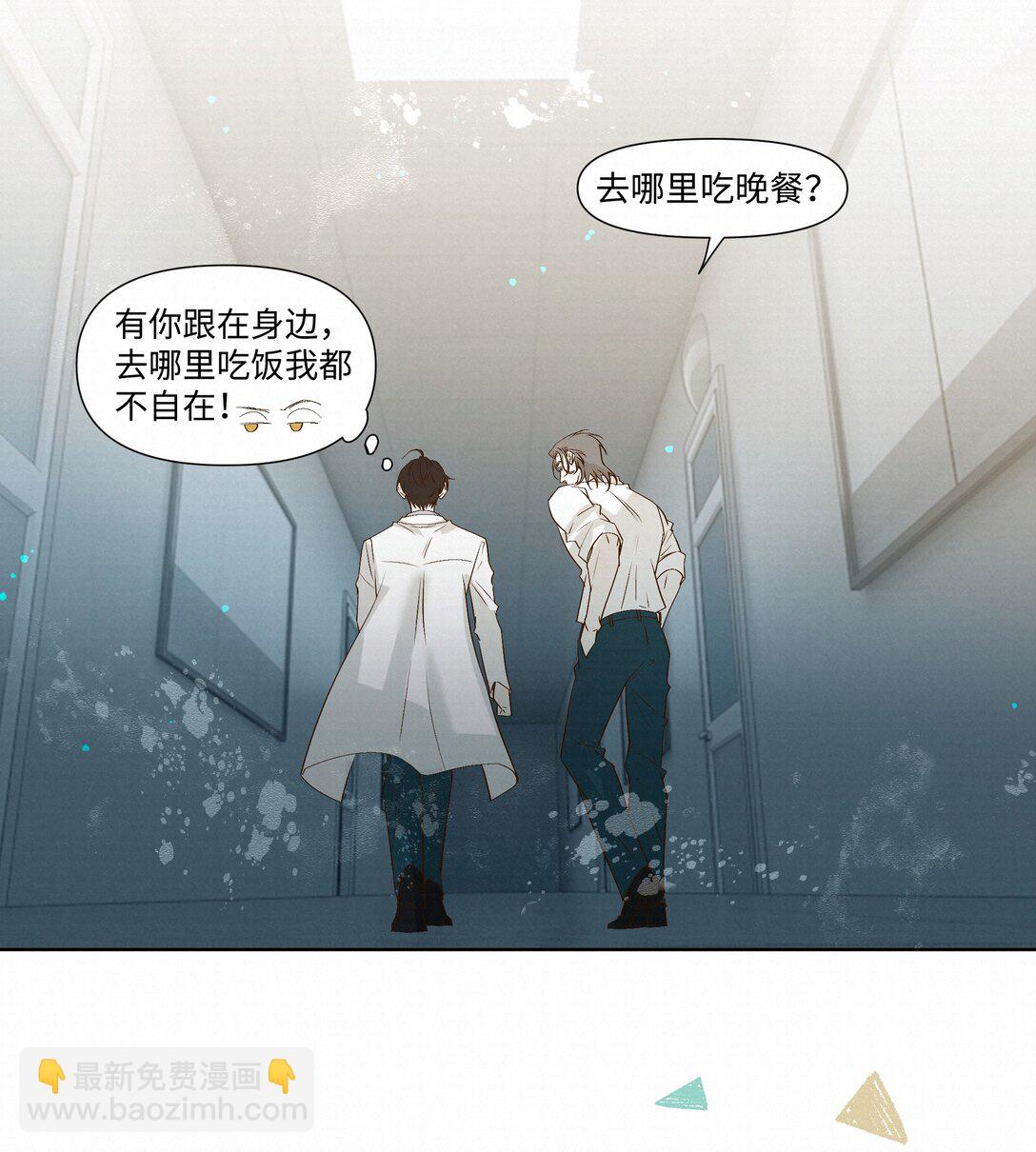 55 打赌8
