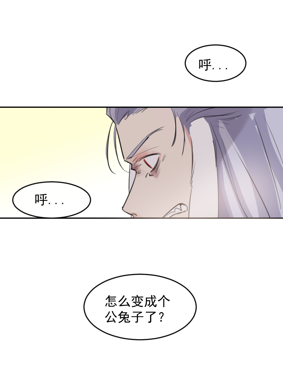 （五十六）公兔子35