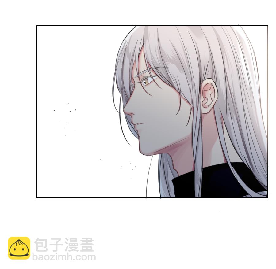 （五十六）公兔子8