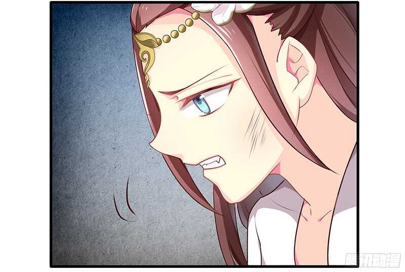 杀手13