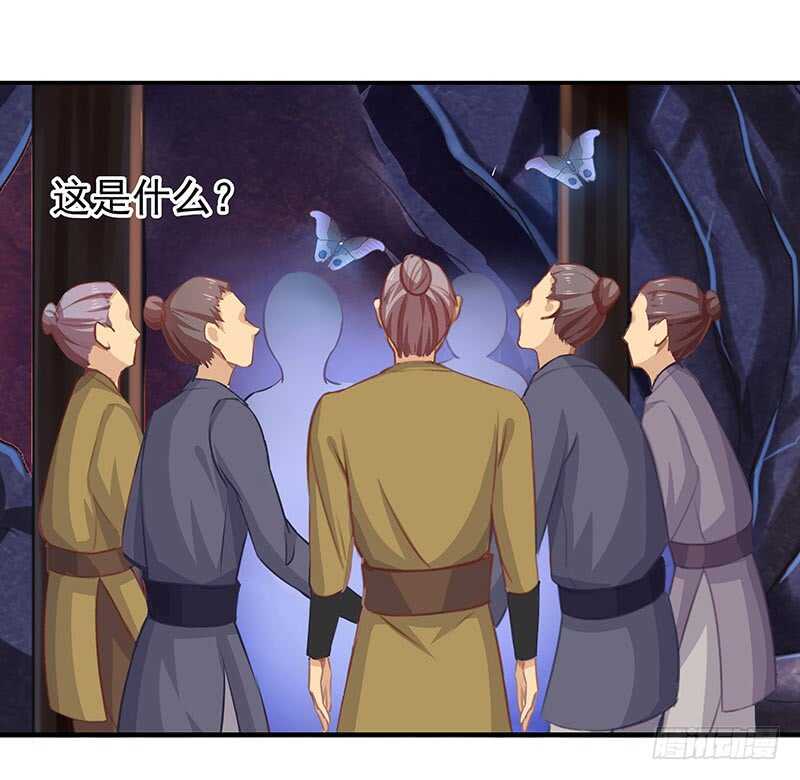 落毛凤凰不如鸡16