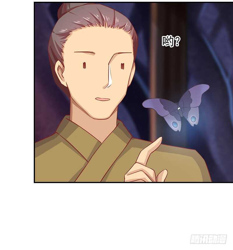 落毛凤凰不如鸡19