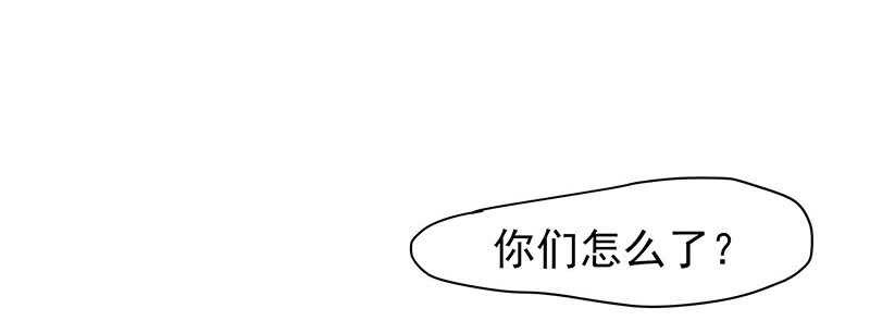 落毛凤凰不如鸡34
