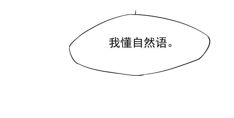 落毛凤凰不如鸡42