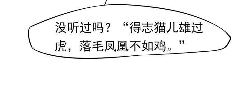 落毛凤凰不如鸡6