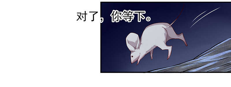 新来的真不懂规矩27