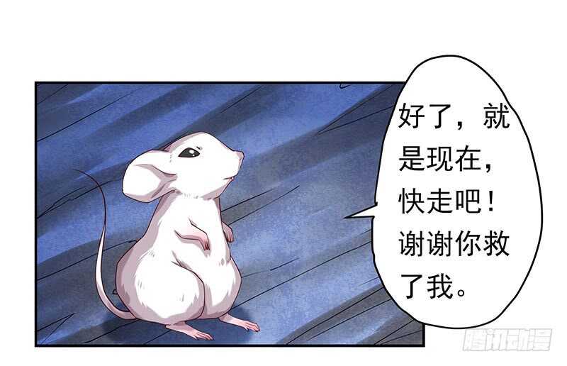 新来的真不懂规矩30