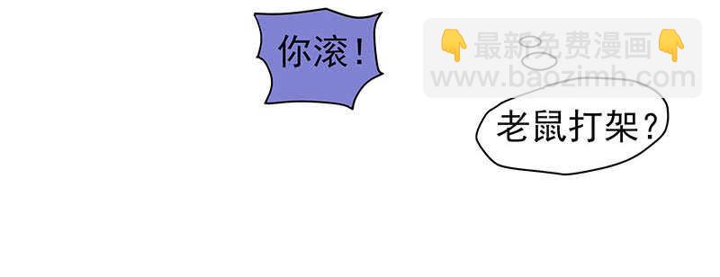 新来的真不懂规矩8