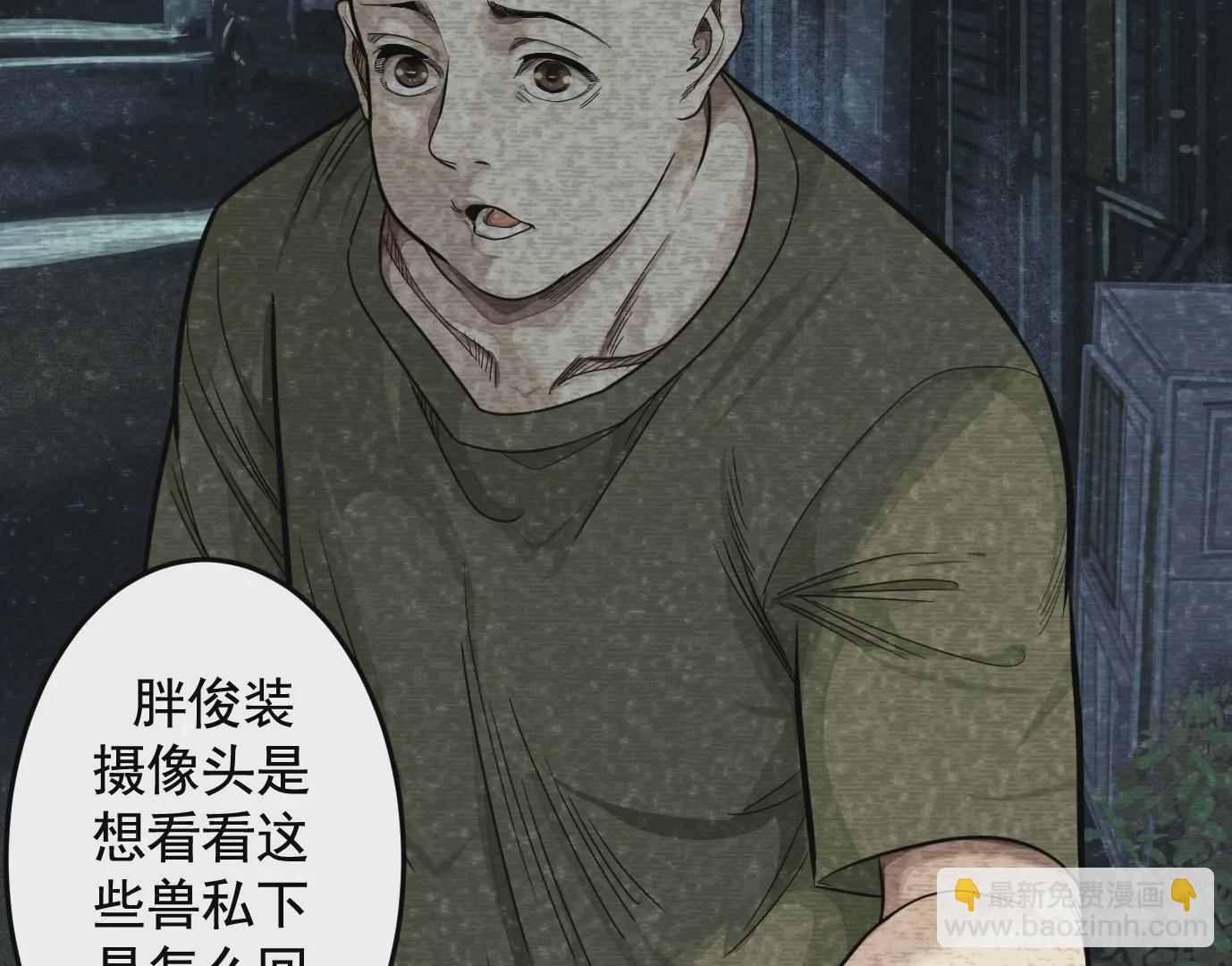 组织12