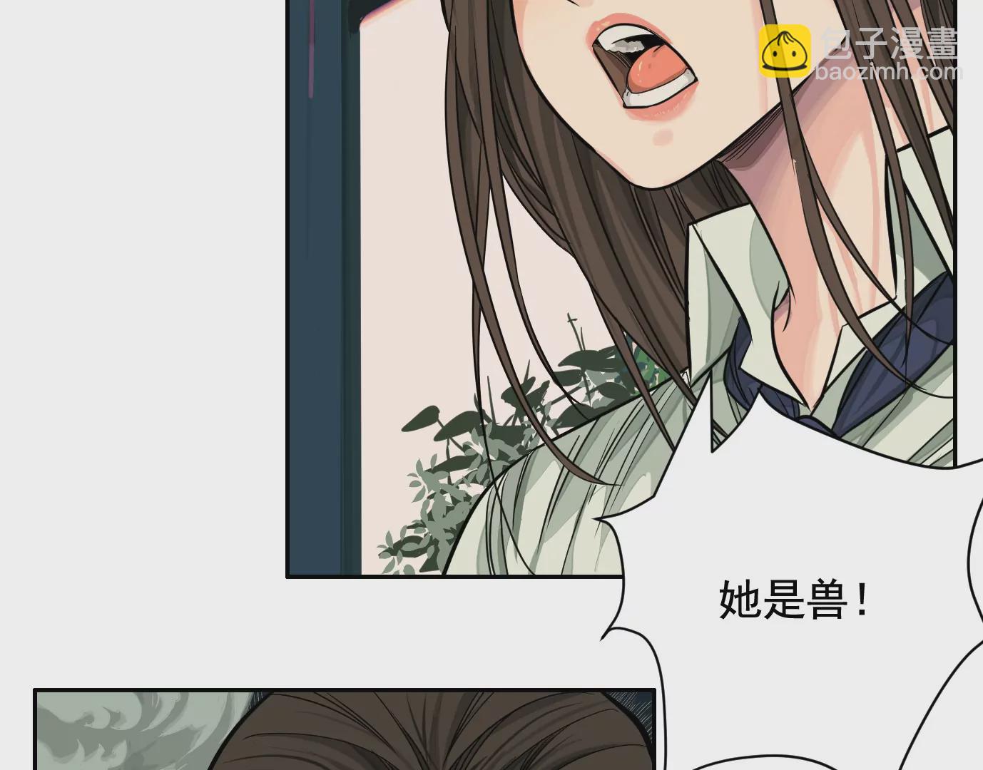 组织28