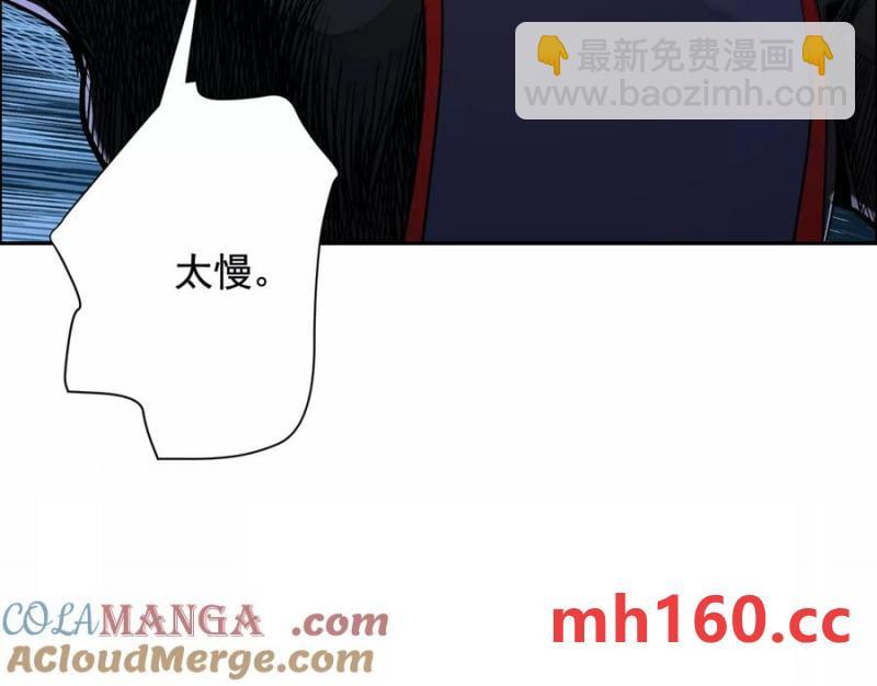 猛虎24