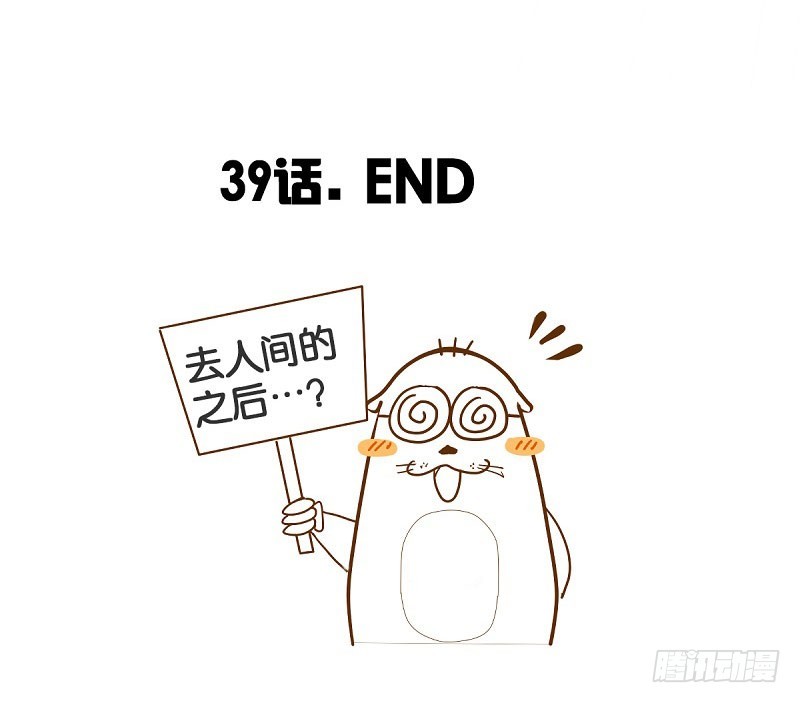 论家庭关系与恋爱的关系27