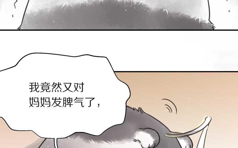 毛球星传说 第4集14
