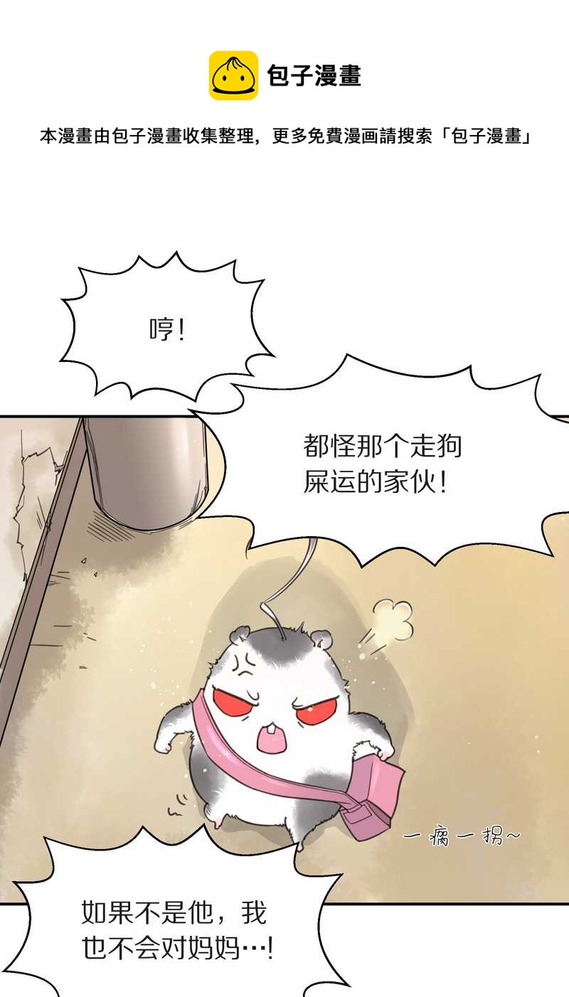 毛球星传说 第4集16