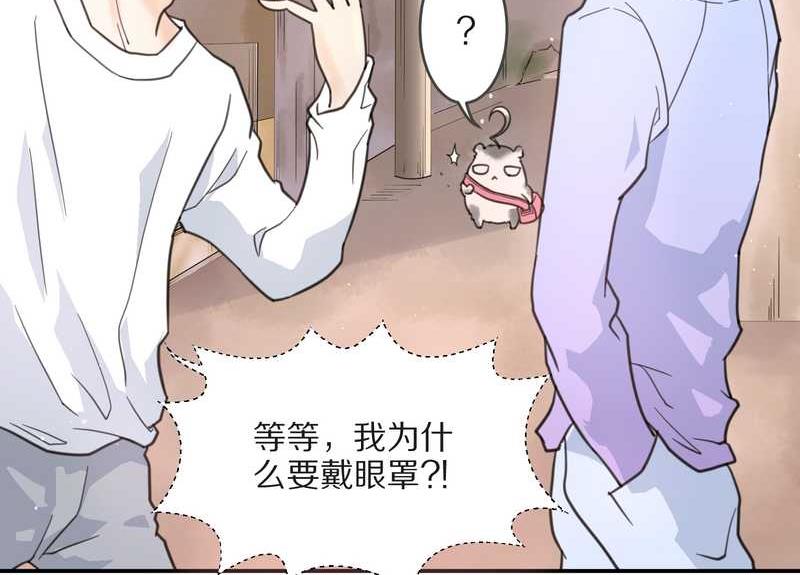毛球星传说 第4集19
