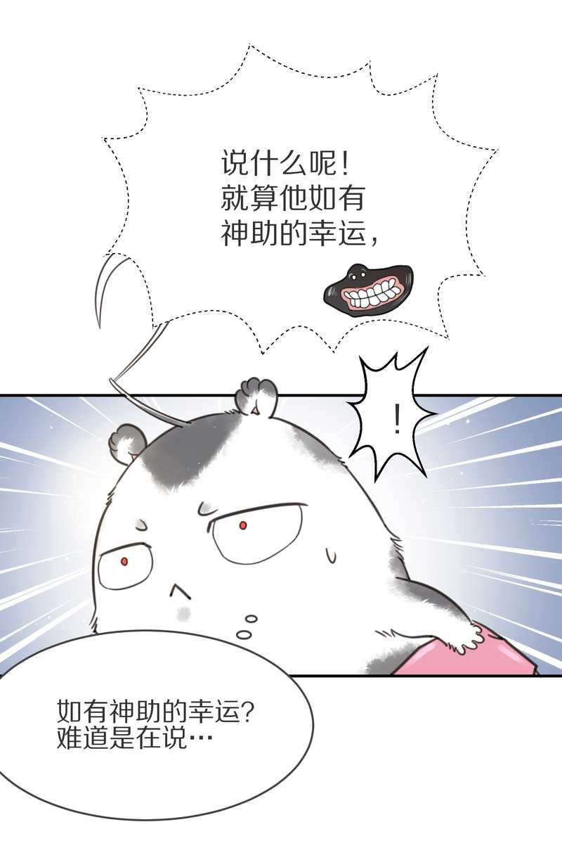 毛球星传说 第4集25
