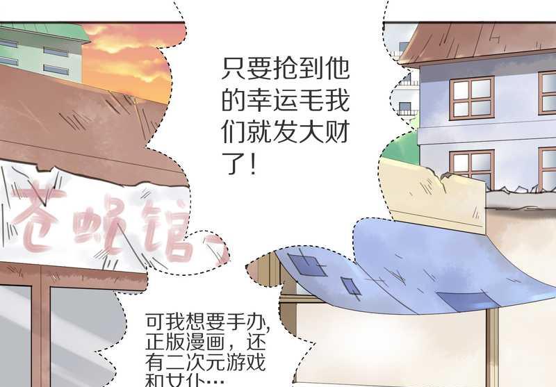 毛球星传说 第4集27