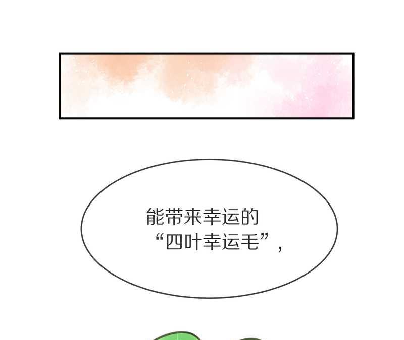毛球星传说 第4集30