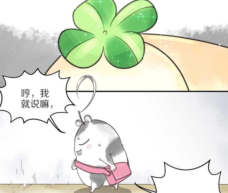 毛球星传说 第4集31