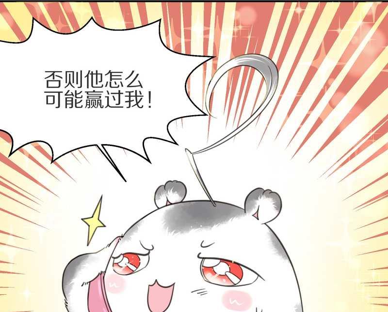 毛球星传说 第4集34