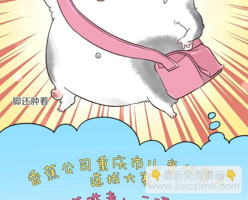 毛球星传说 第4集35