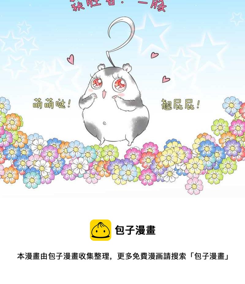 毛球星传说 第4集36