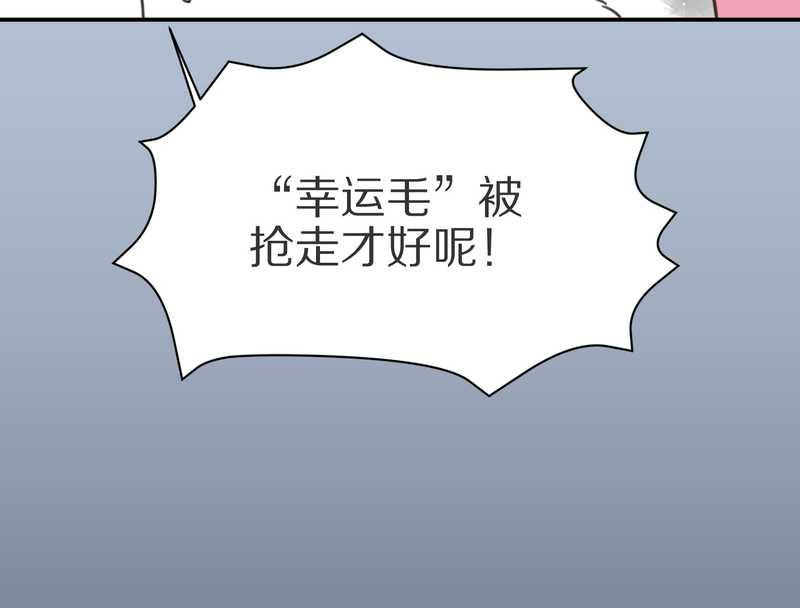 毛球星传说 第4集39