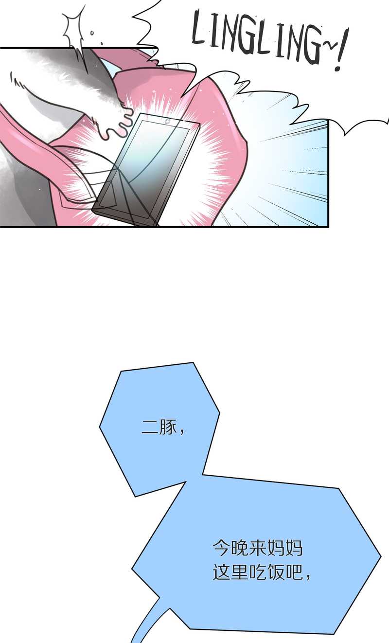 毛球星传说 第4集5