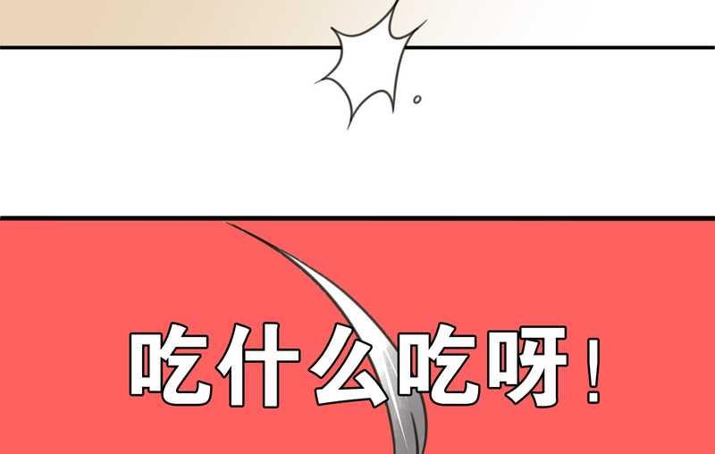 毛球星传说 第4集9