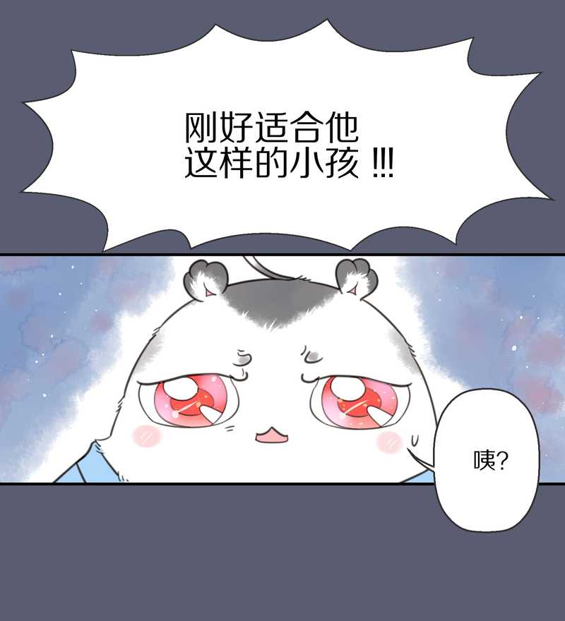 毛球星传说 第9集15