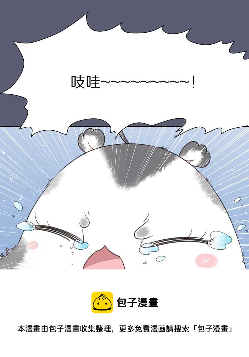 毛球星传说 第9集16