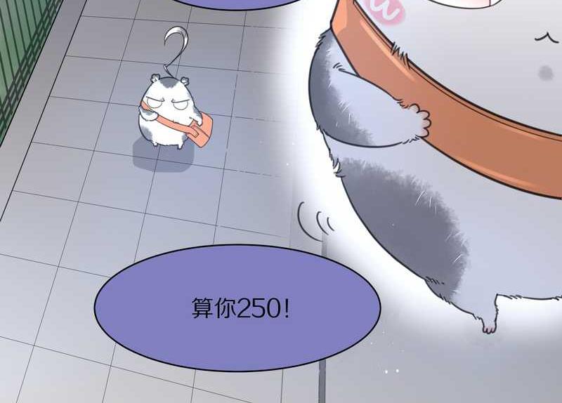 毛球星传说 第9集23