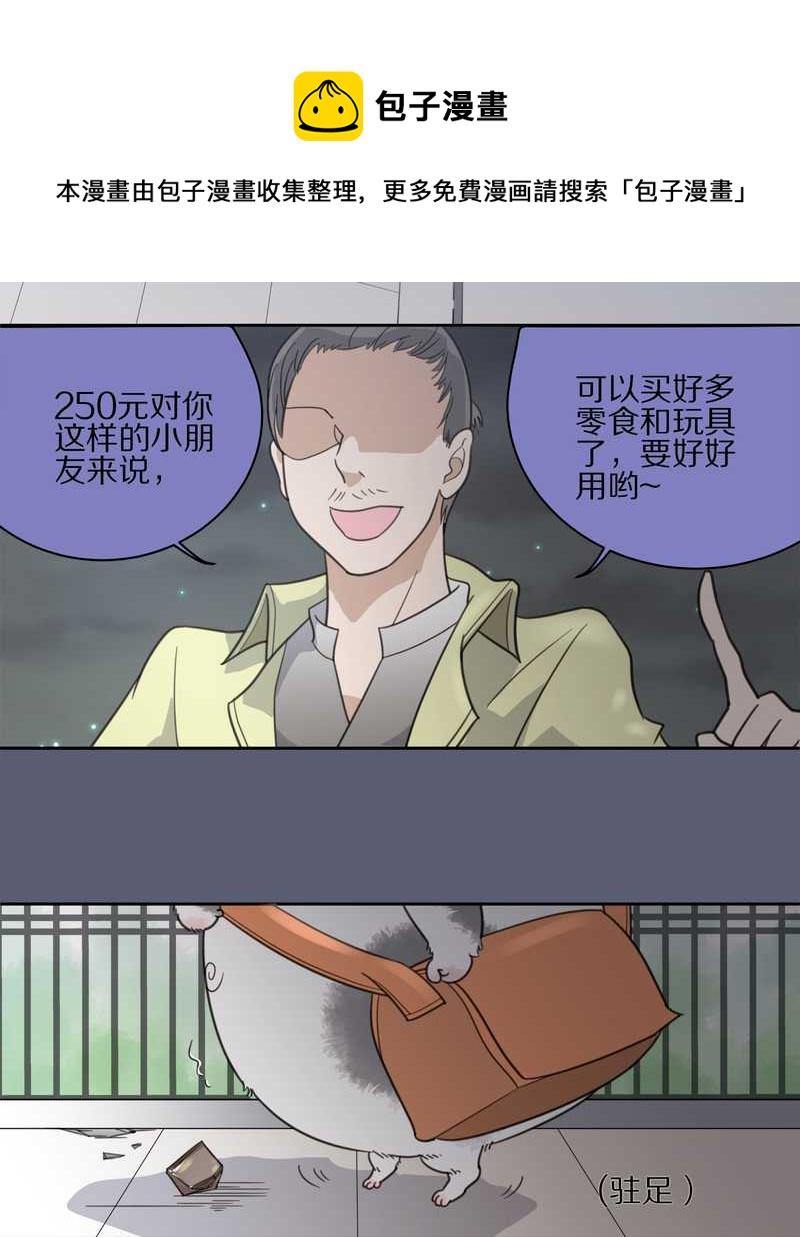 毛球星传说 第9集24