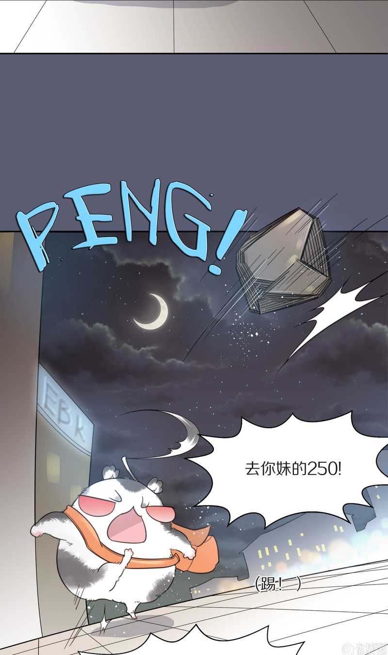 毛球星传说 第9集25