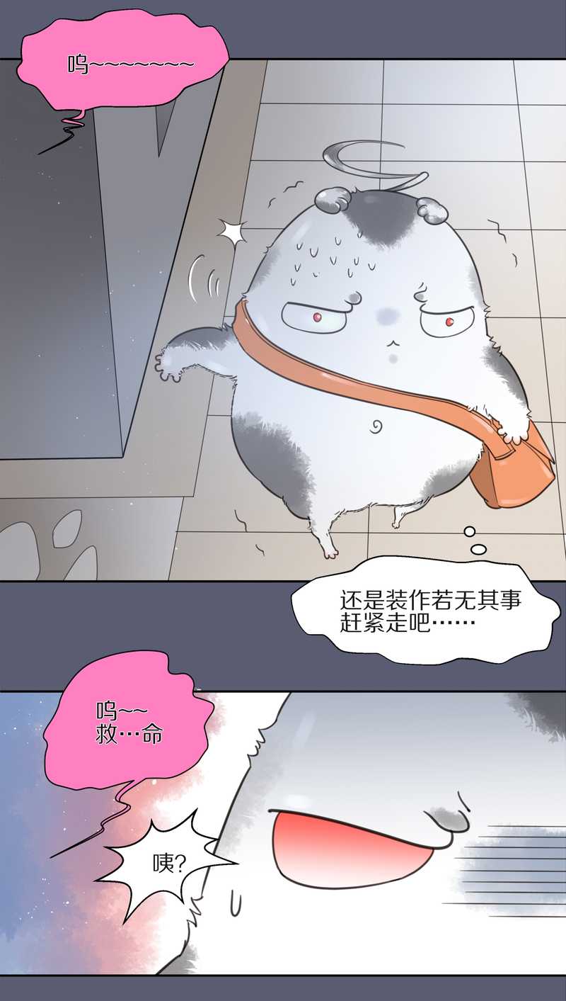 毛球星传说 第9集29