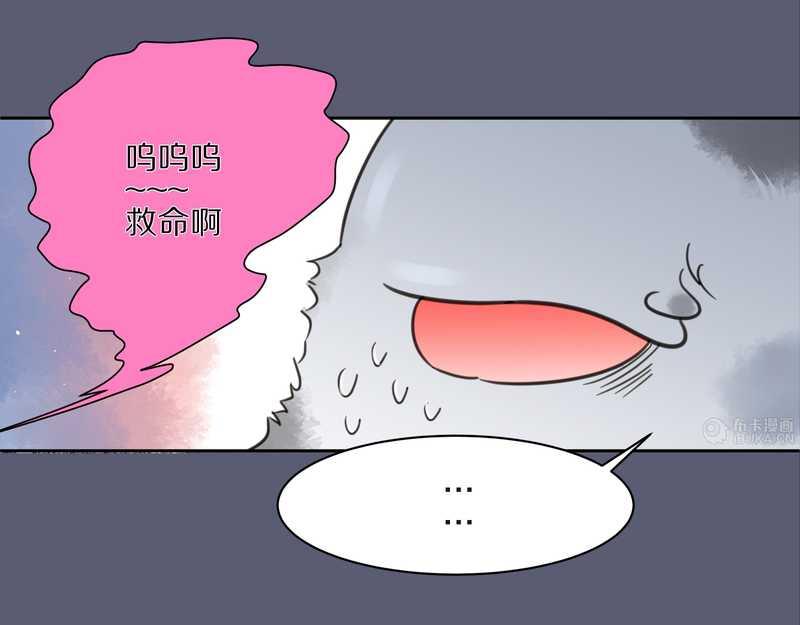 毛球星传说 第9集30