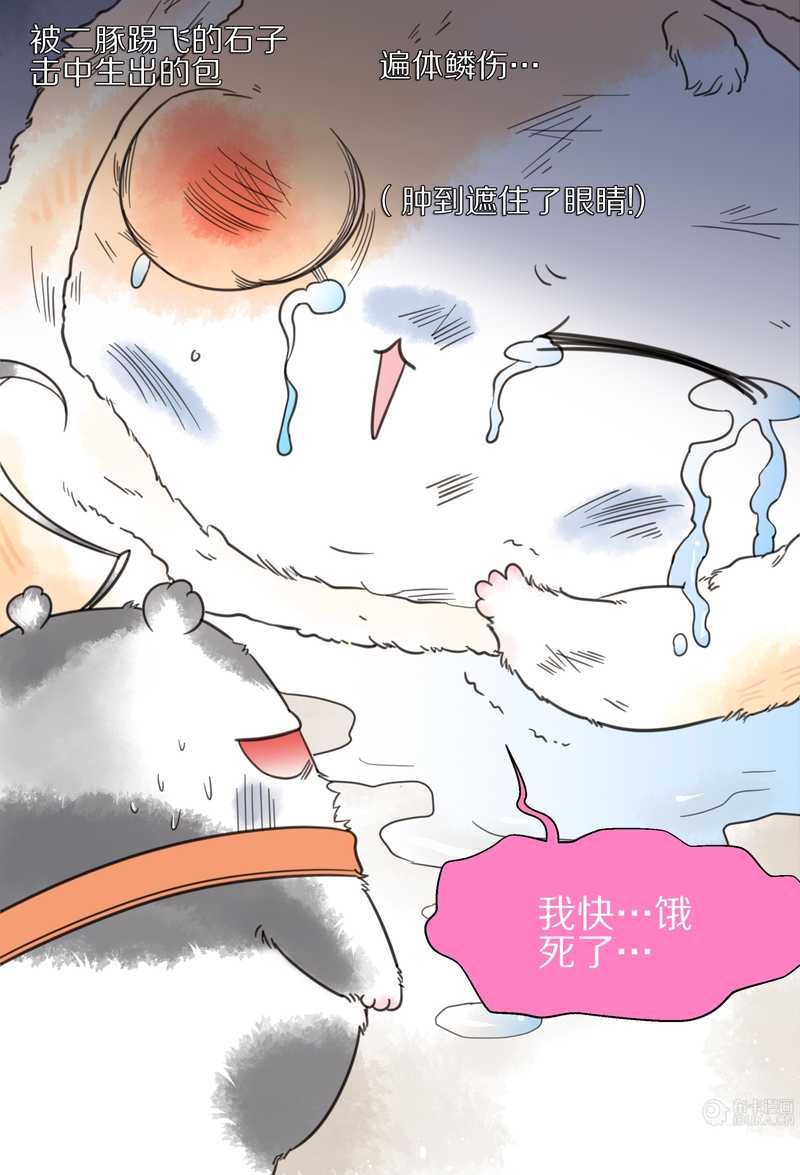 毛球星传说 第9集34