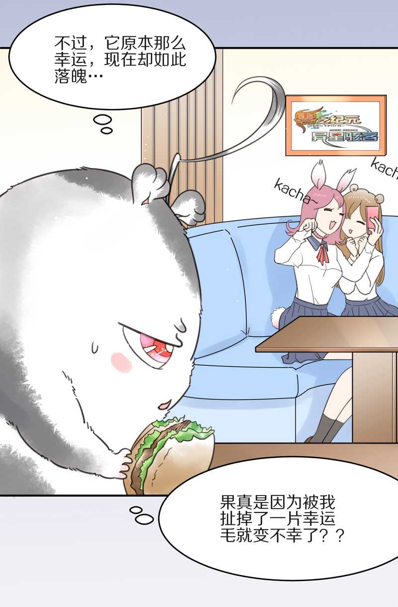 毛球星传说 第10集11