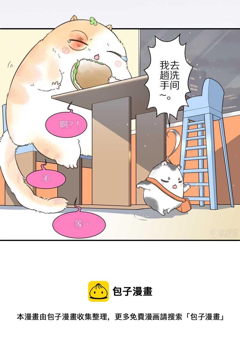 毛球星传说 第10集12