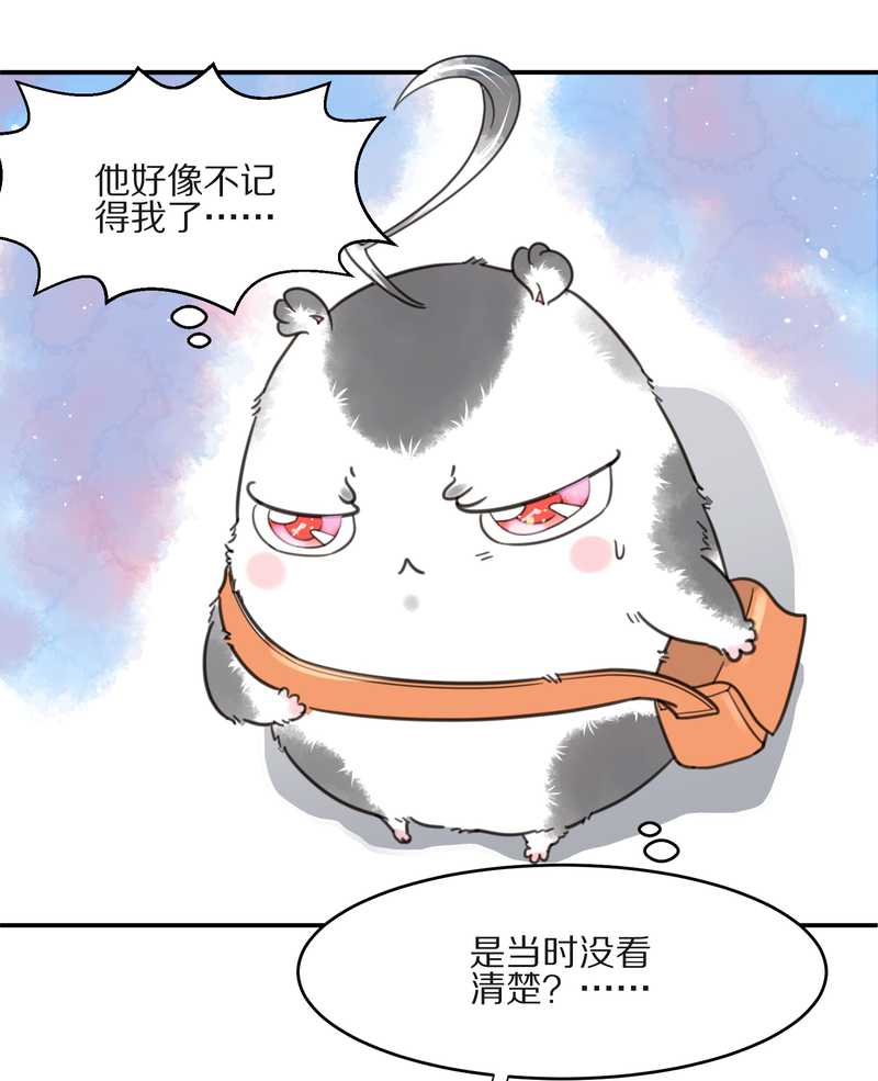 毛球星传说 第10集13