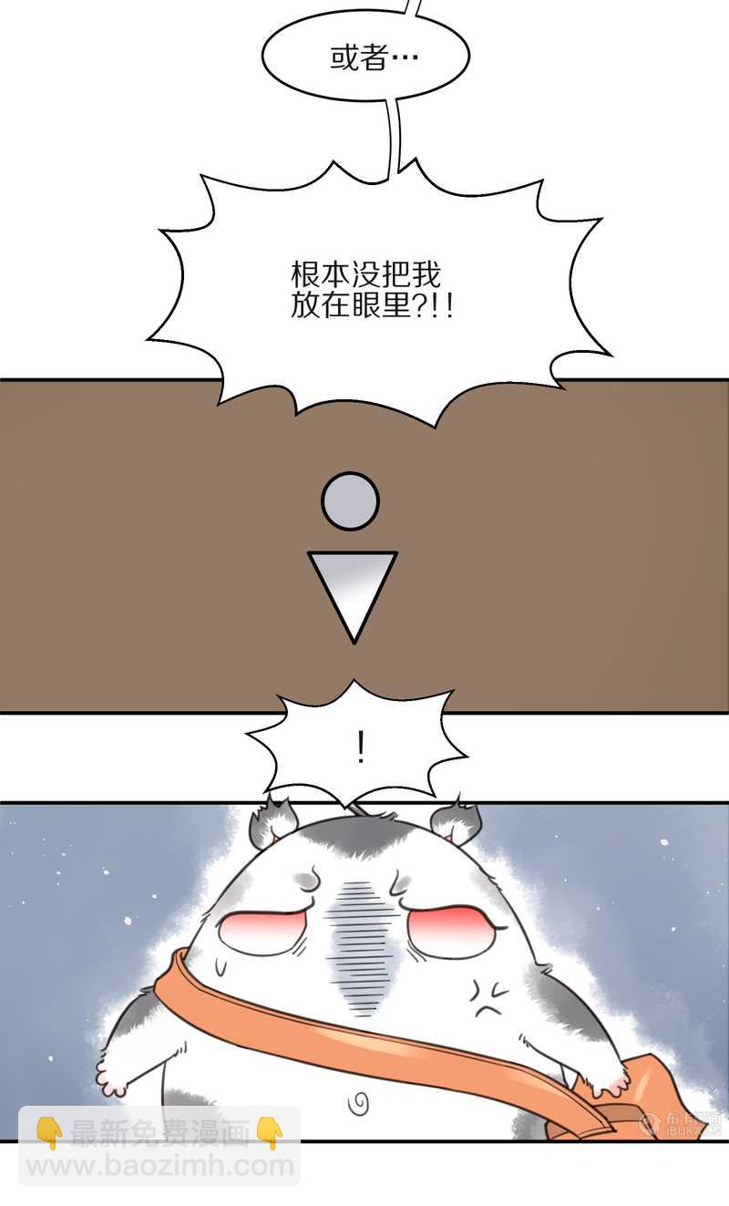 毛球星传说 第10集14