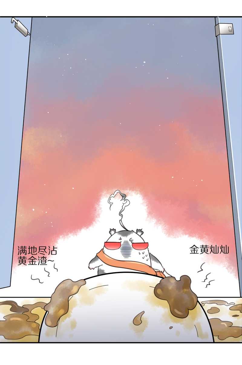 毛球星传说 第10集18