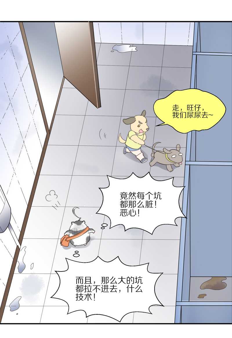毛球星传说 第10集19