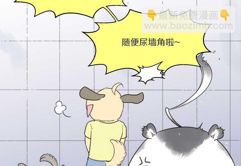 毛球星传说 第10集22