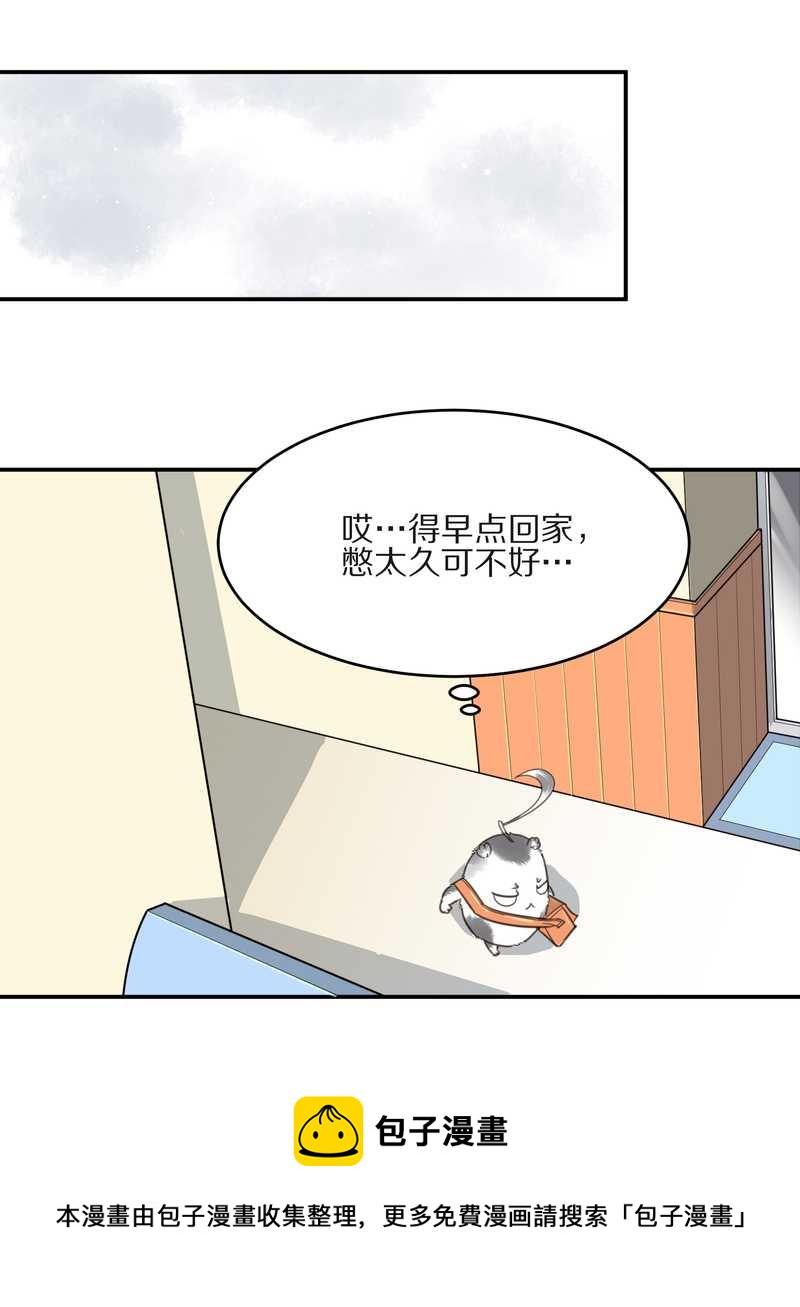 毛球星传说 第10集24